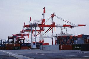 最新トレンドと選び方がわかる！調味料の効果的な活用法とおすすめポイント